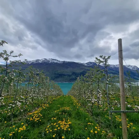 Aga Fjord Hardanger Appartement Nå
