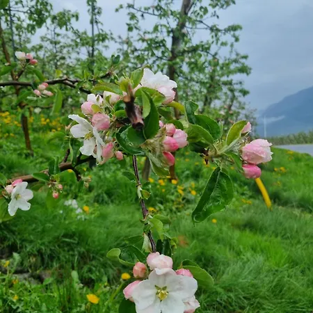 Aga Fjord Hardanger Nå