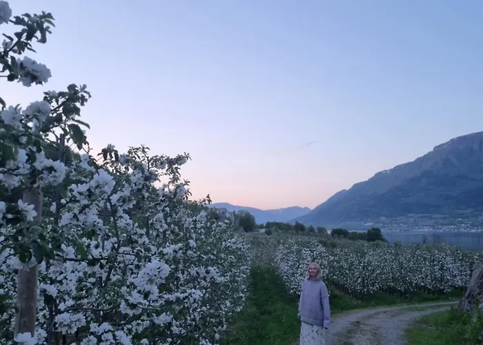 Aga Fjord Hardanger Apartmán Nå