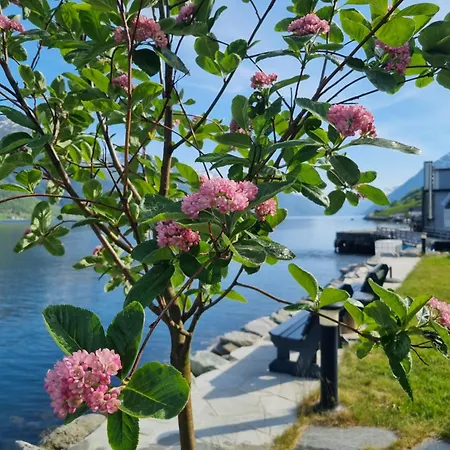 Aga Fjord Hardanger *