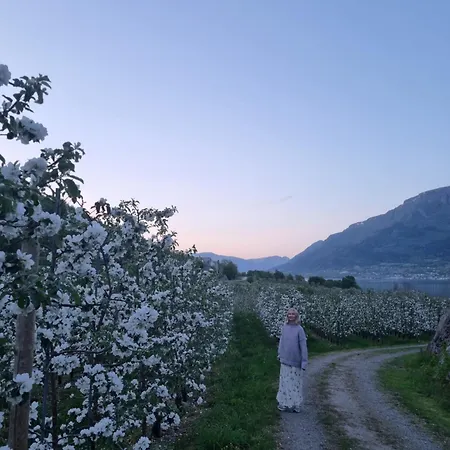 Aga Fjord Hardanger Appartement Nå